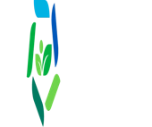 Zonne Ventures Private Limited