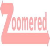 Zoomer Educational Software Private Limited
