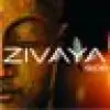 Zivaya Wellness Private Limited