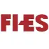Fi Es Systems Private Limited