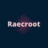 Raecroot Talent Search Solutions Private Limited