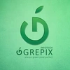 Grepix Infotech Private Limited