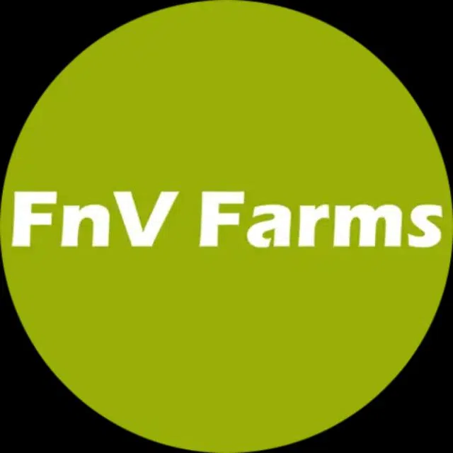 Fnv Infotech Solutions Private Limited