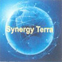 Synergy Terra Resources Private Limited