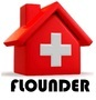 Flounder Pharmaceuticals Private Limited