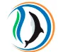 Dolphin Money Private Limited