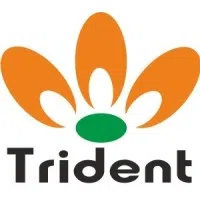 Trident Chemphar Limited