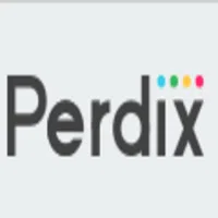 Perdix Business Solutions Private Limited