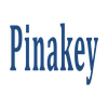 Pinakey It Consultancy Private Limited