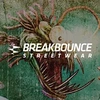 Breakbounce India Private Limited