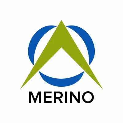 Merino Consulting Services Limited