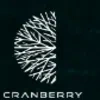 Cranberry Analytics Private Limited