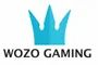 Wozo Gaming Private Limited