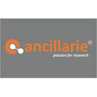 Ancillarie Llp