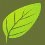 Banyan Environmental Innovations Private Limited