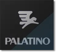 Palatino Automotive Systems Private Limited