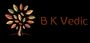 Bk Vedic Private Limited image