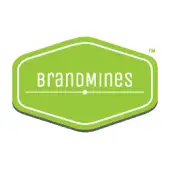 Brandmines Retail Private Limited