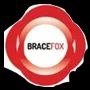 Brace Fox Consultant Private Limited