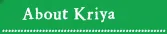 Kriyative Learning Solution International Private Limited