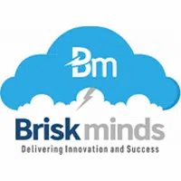 Briskminds Software Solutions Private Limited
