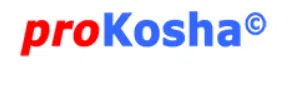 Prokosha Systems Private Limited