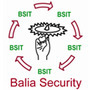 Balia Security It Solutions Private Limited