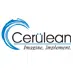 Cerulean Information Technology Private Limited.