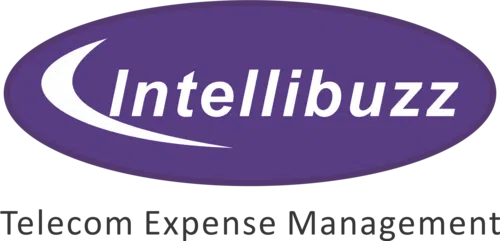 Intellibuzz Private Limited