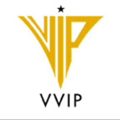 Vvip Infratech Private Limited