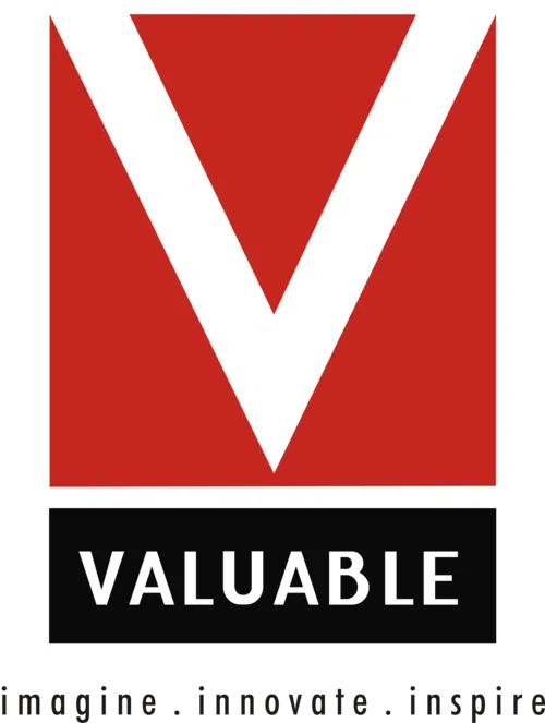 Valuable Infrastructure Private Limited