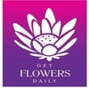 Getflowersdaily Llp