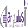 Angulus It Services Private Limited