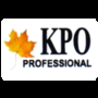 Kpo Digital Writer Private Limited