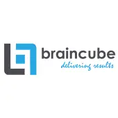 Braincube Services Private Limited
