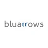 Bluarrows Marketing LLP image