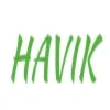 Havik Healthcare It Solutions Private Limited