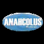 Anahcolus It Solutions Private Limited