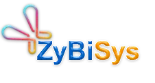 Zybisys Technologies Private Limited