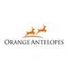 Orange Antelopes Private Limited