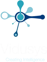 Vidusys Infosystem Private Limited