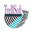 Trellissoft Engineering Services Private Limited