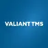 Valiant-Tms Systems Private Limited