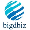 Bigdbiz Solutions Private Limited