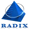 Radix Software Services Private Limited