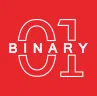 Binary Web Solutions (India) Private Limited