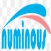 Numinous Technology Private Limited