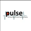 Pulse Telesystems Private Limited