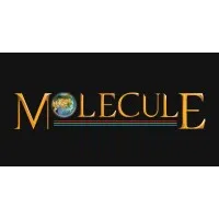 Molecule Motion Pictures Private Limited