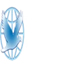 Travelpaz Holidays Llp